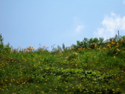 080727 志賀高原 ab