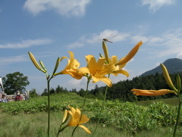 080727 志賀高原 ae