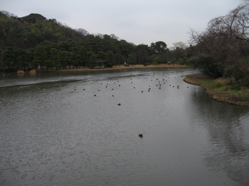 090301 横浜三渓園 003