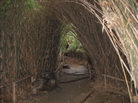 090301 横浜三渓園 008