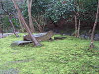 090301 横浜三渓園 017