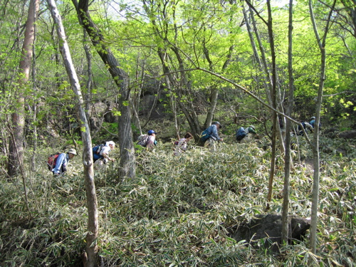 090510 赤城荒山 ahb