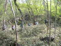 090510 赤城荒山 agb