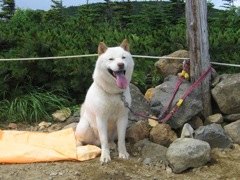 08 コース最高地点