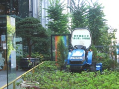 15 東京農大博物館 a