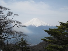 130414三つ峠山 013