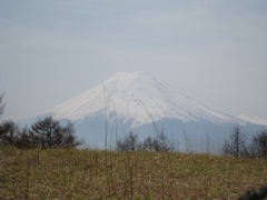 130414三つ峠山 025