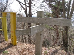 130414三つ峠山 027