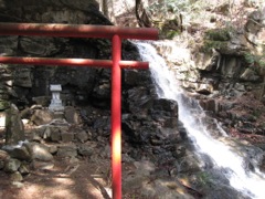 130414三つ峠山 036