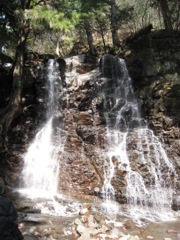 130414三つ峠山 039