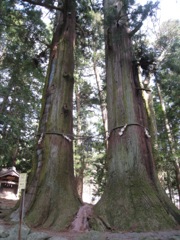 130414三つ峠山 052