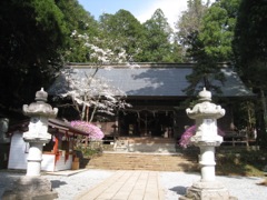 130414三つ峠山 054