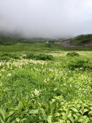 130728 木曽駒3千畳敷 